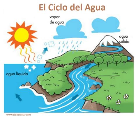 ciclo del agua para niños